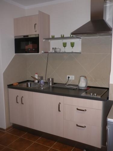 Apartament Krynica Eland Dış mekan fotoğraf